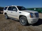 2011 Cadillac Escalade  for Sale in Memphis, TN - Front End
