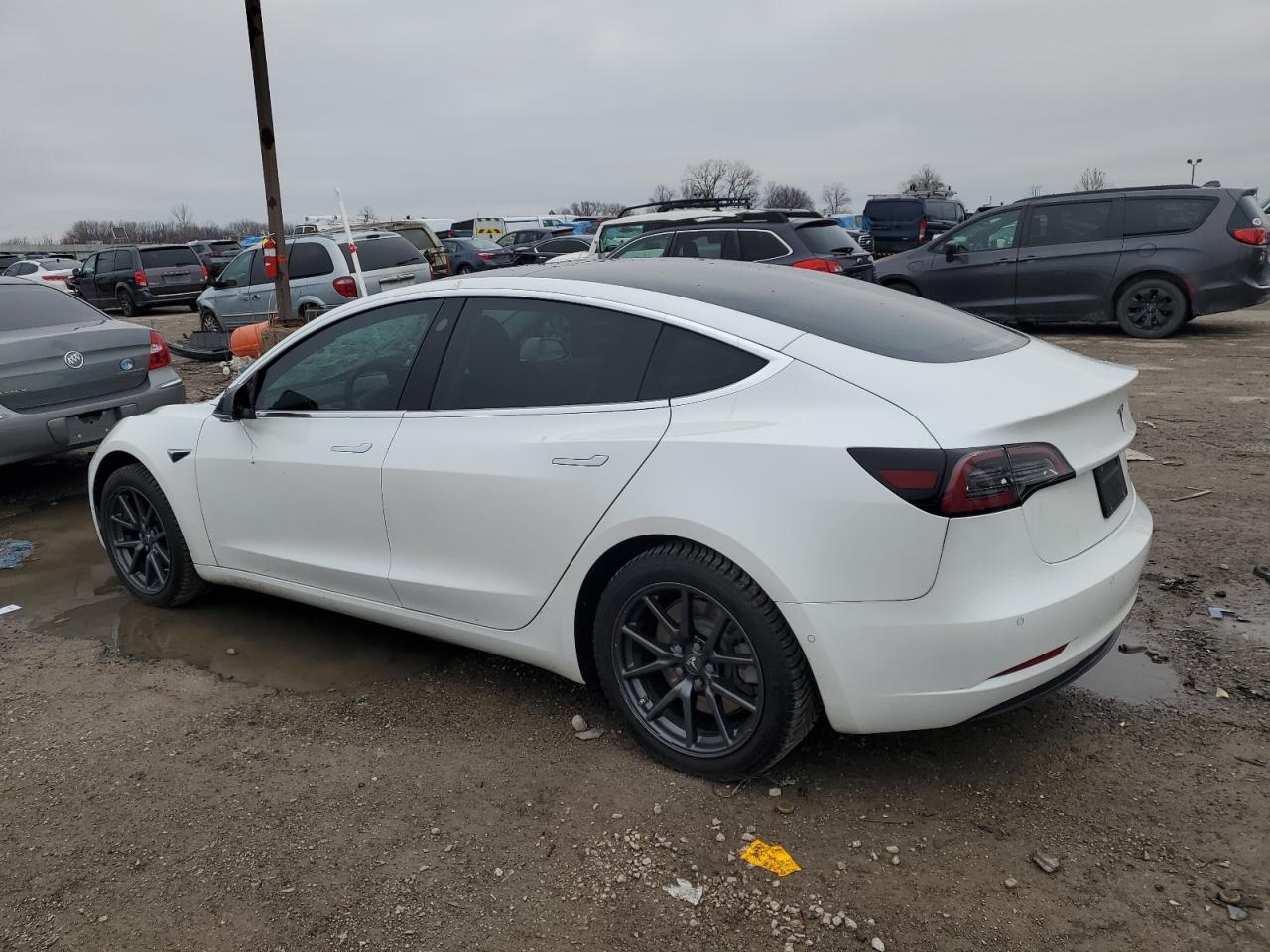 2019 Tesla Model 3 VIN: 5YJ3E1EB9KF469834 Lot: 81879283