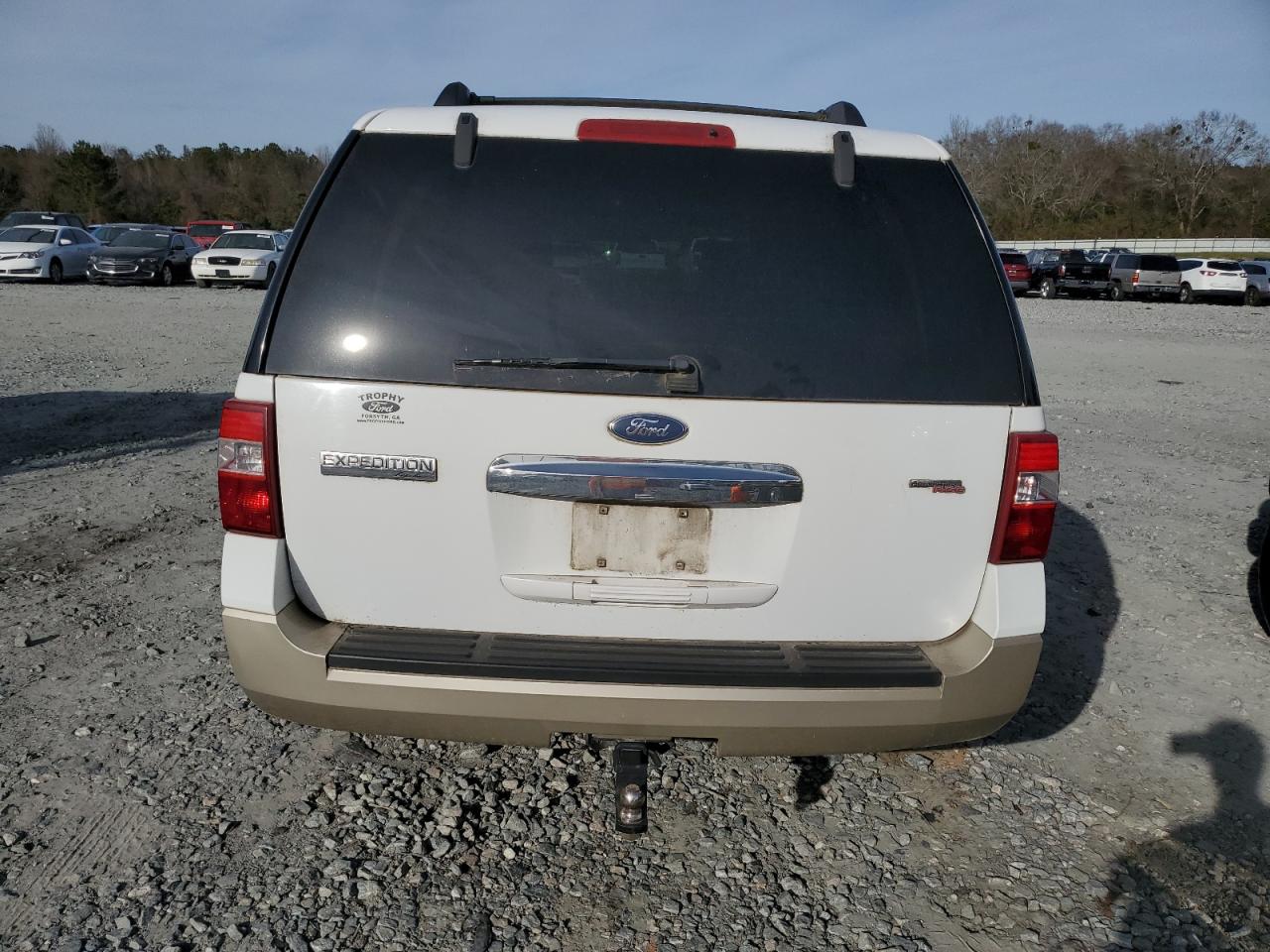 2007 Ford Expedition Eddie Bauer VIN: 1FMFU17517LA83660 Lot: 38522874