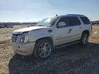 2011 Cadillac Escalade  for Sale in Memphis, TN - Front End