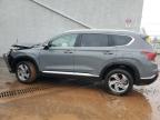 2023 Hyundai Santa Fe Sel Premium na sprzedaż w Hillsborough, NJ - Front End