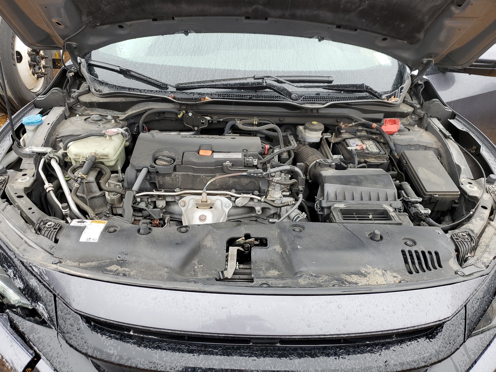 2HGFC2F88KH547186 2019 Honda Civic Sport