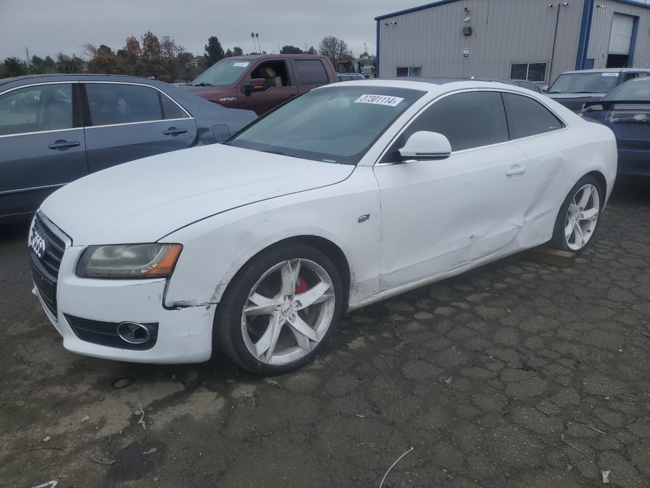 2009 Audi A5 Quattro VIN: WAUDK78T09A034608 Lot: 37301114