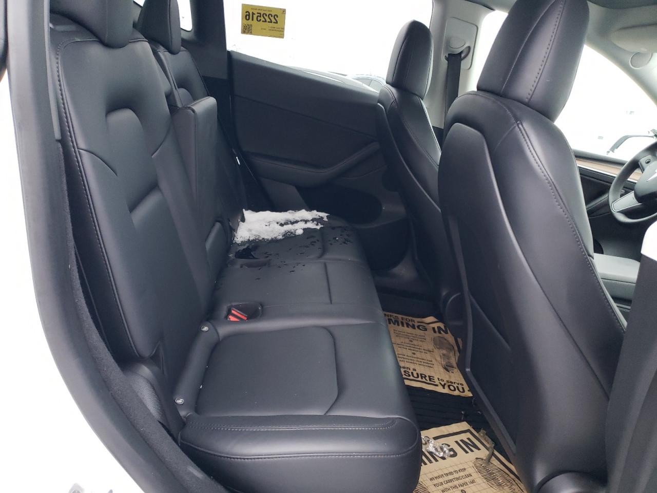 2023 Tesla Model Y VIN: 7SAYGDEE2PF602844 Lot: 80382405