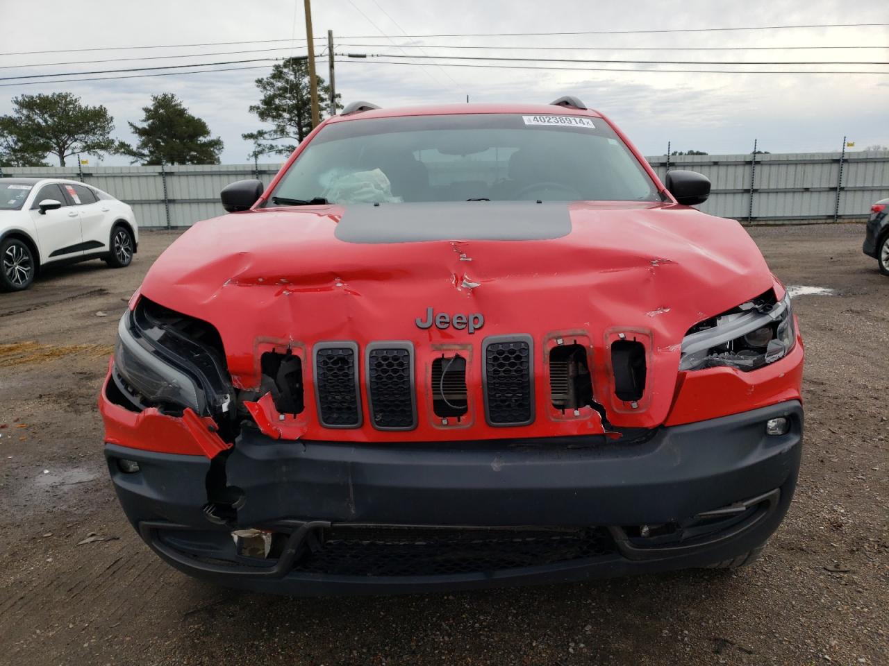 2019 Jeep Cherokee Trailhawk VIN: 1C4PJMBX9KD183035 Lot: 40238914