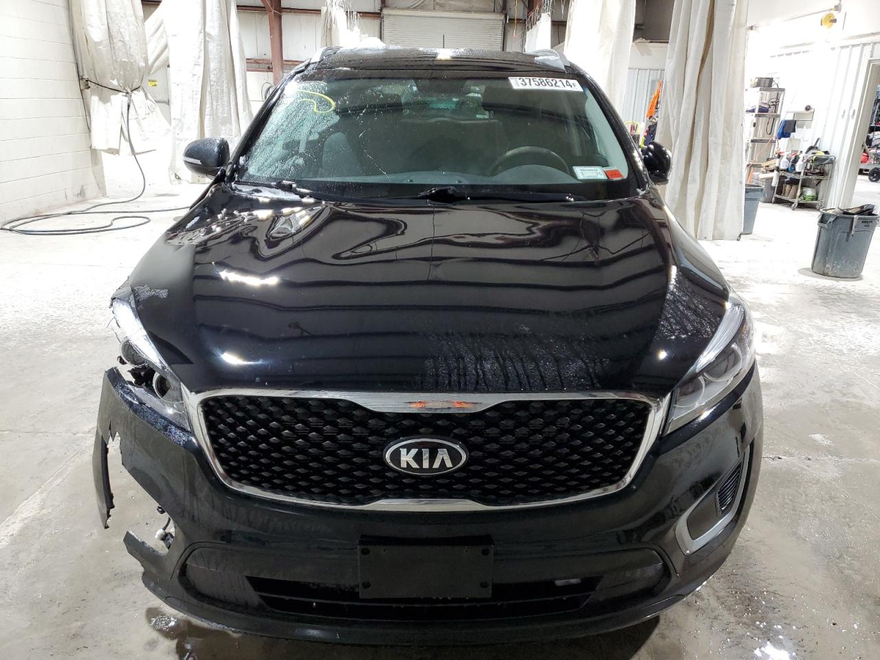 2017 Kia Sorento Lx VIN: 5XYPGDA31HG226497 Lot: 37586214