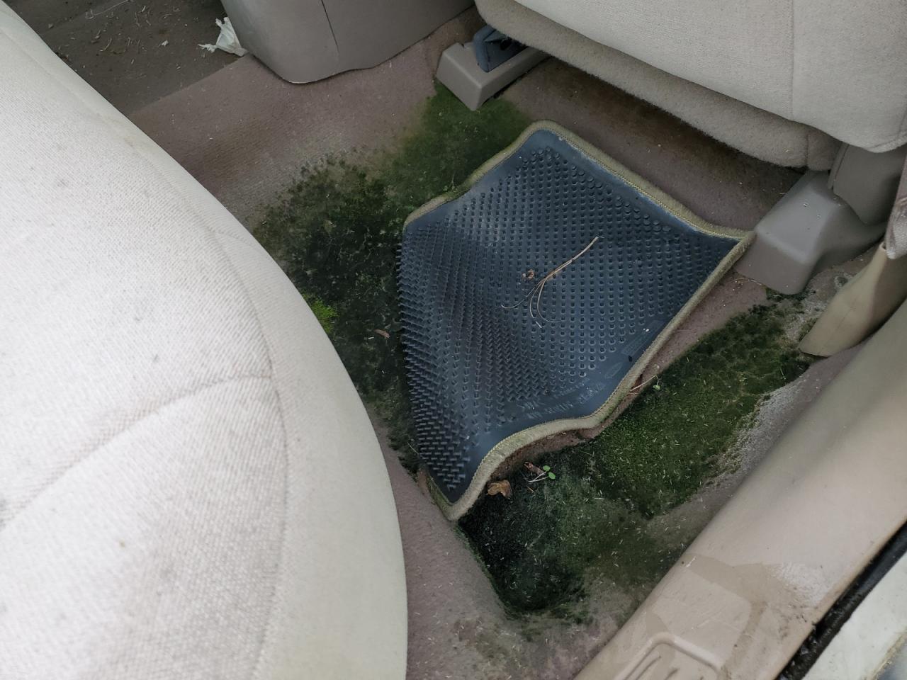 2004 Ford Taurus Se VIN: 1FAFP53254A207134 Lot: 70535024