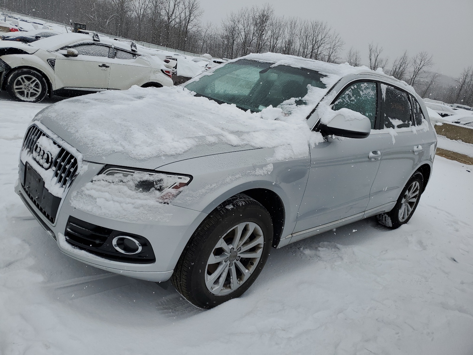 2013 Audi Q5 Premium vin: WA1CFAFPXDA070864