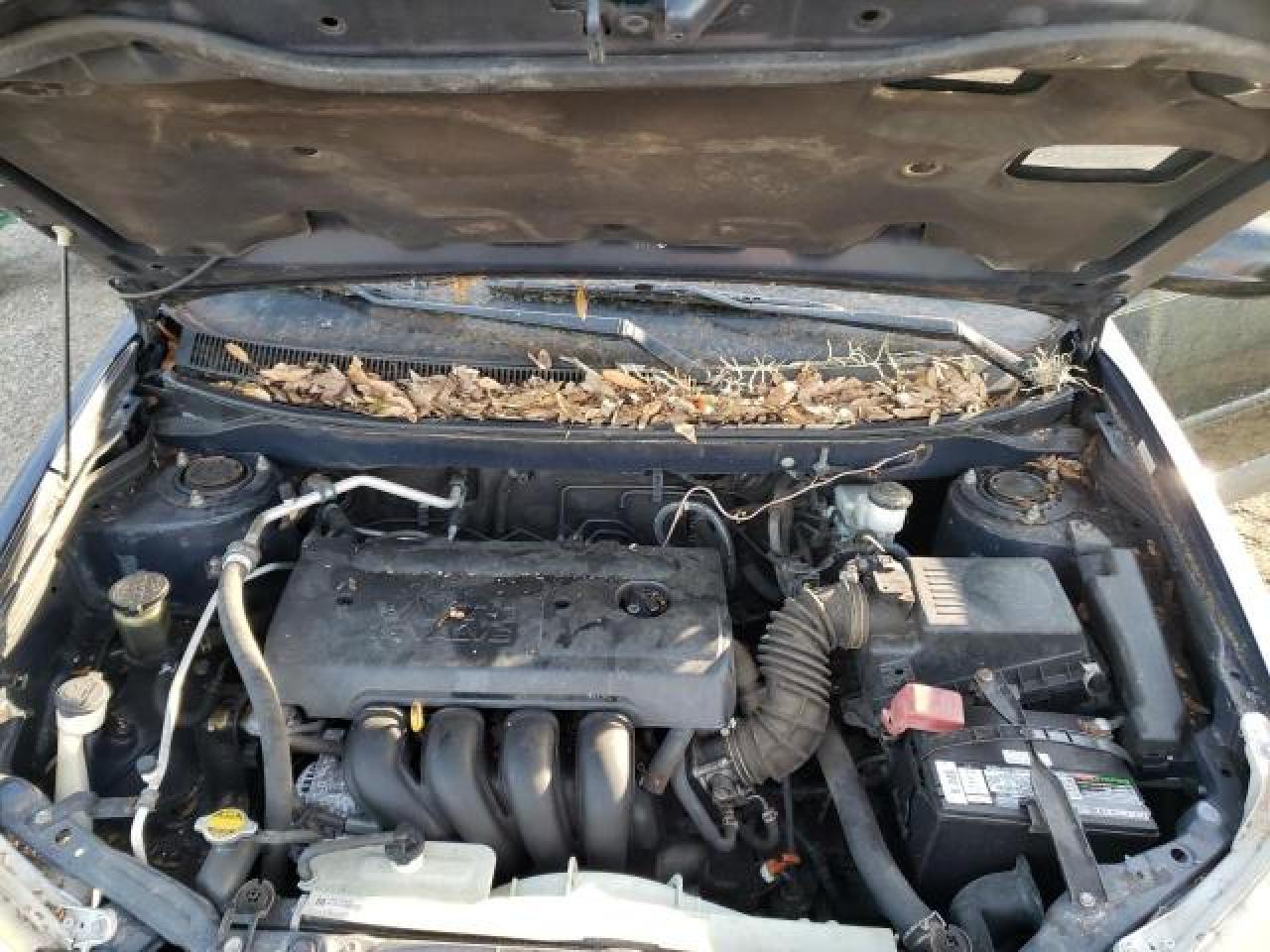 2007 Pontiac Vibe VIN: 5Y2SL65857Z439444 Lot: 38489254