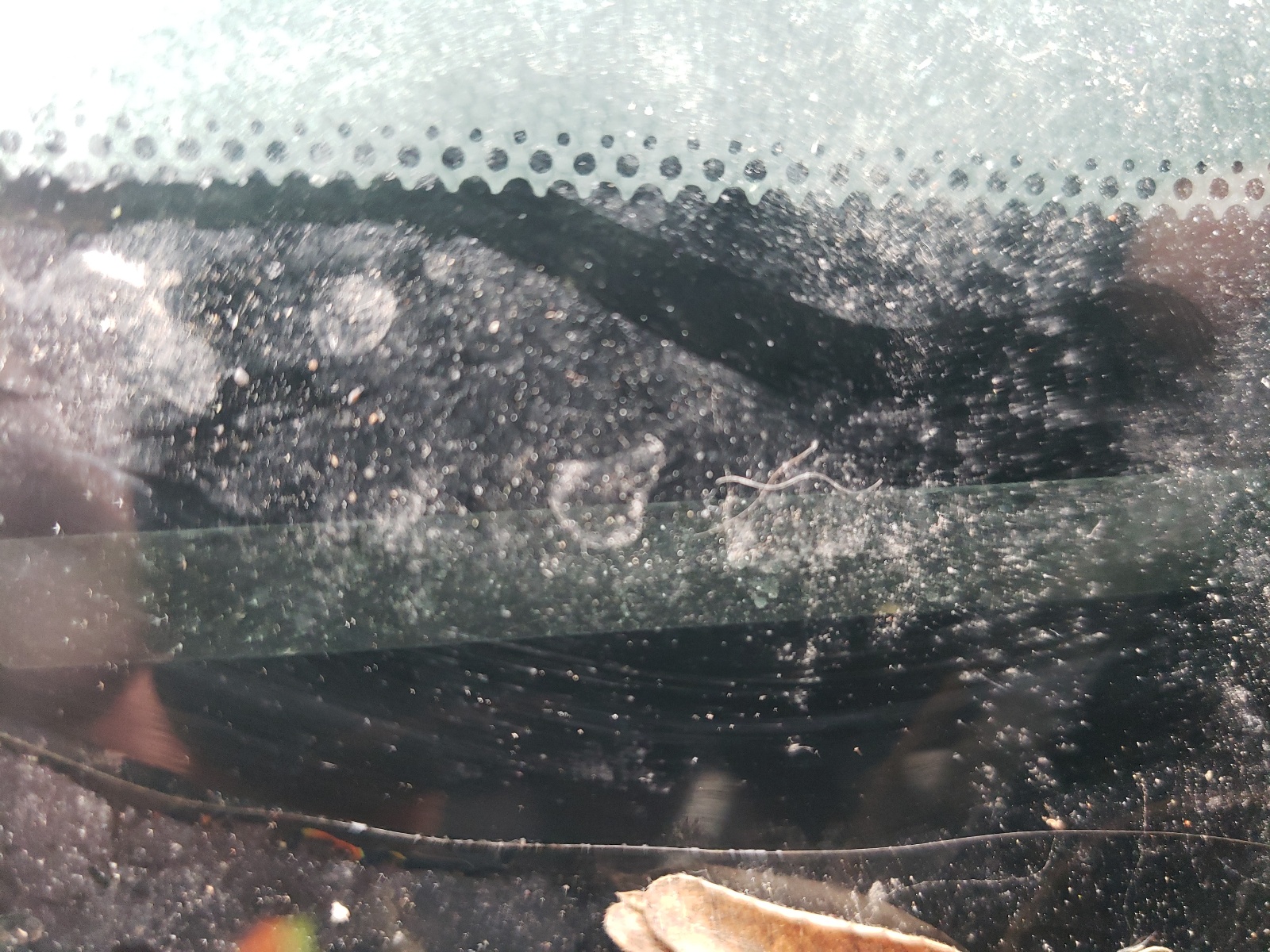 JN1AZ34DX3T103053 2003 Nissan 350Z Coupe