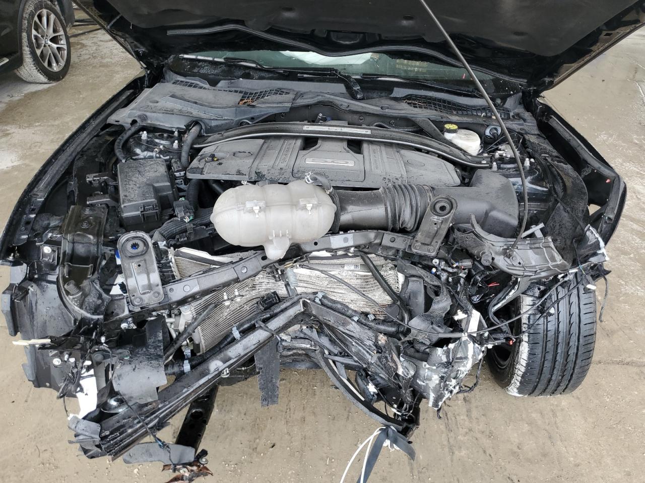 2022 Ford Mustang Gt VIN: 1FATP8FF5N5116197 Lot: 39293584