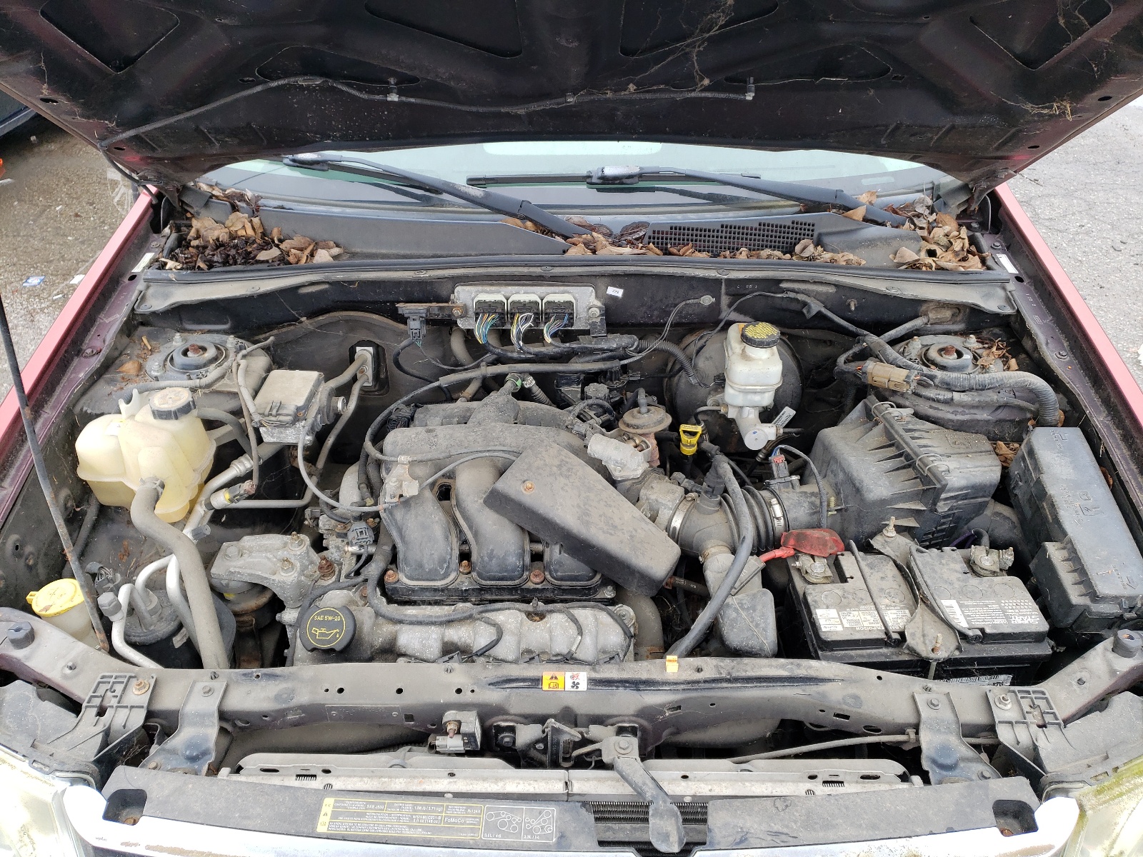 1FMCU03198KD30365 2008 Ford Escape Xlt