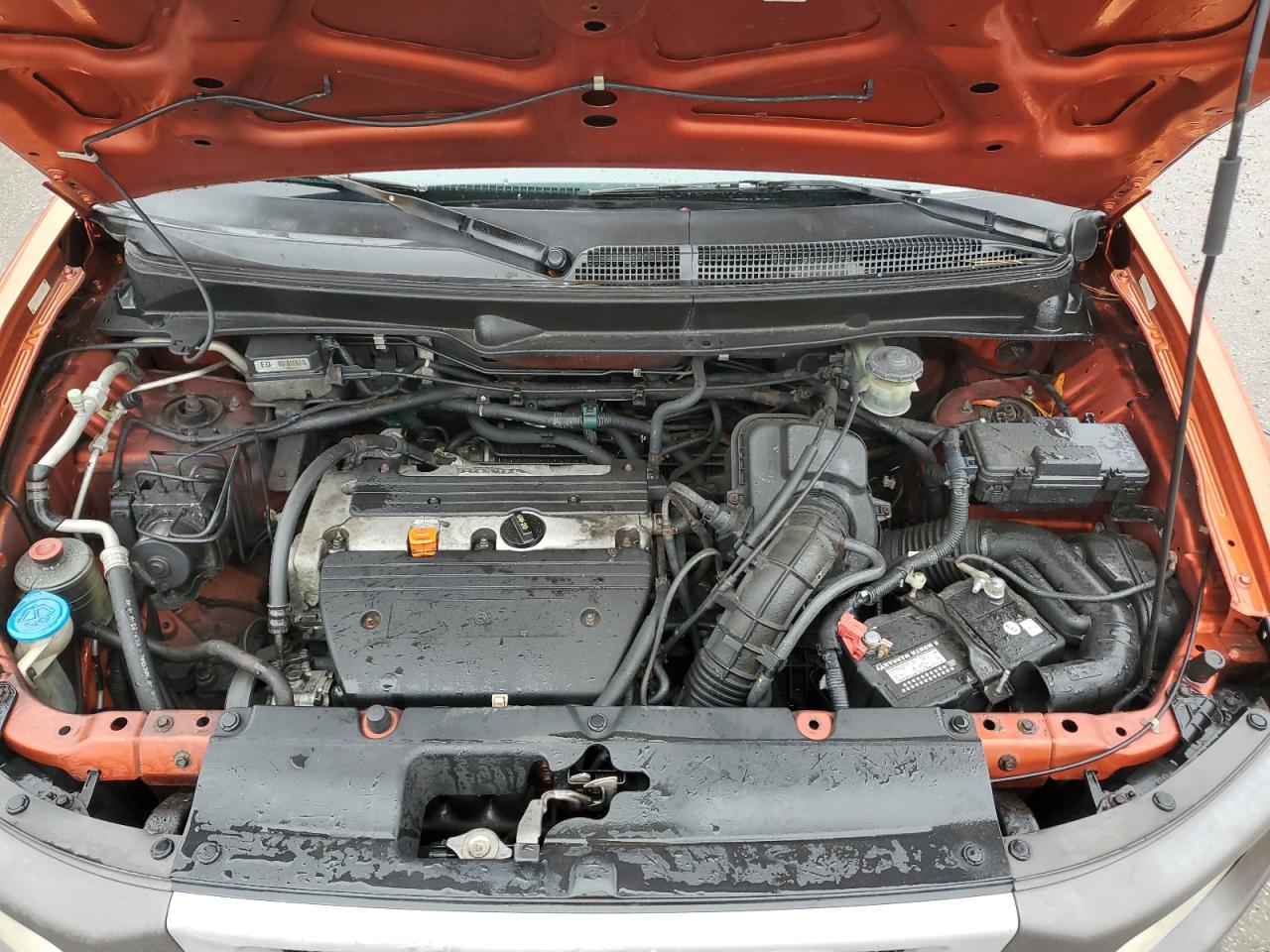 2005 Honda Element Ex VIN: 5J6YH28625L004020 Lot: 38989484