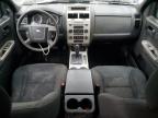 Montgomery, AL에서 판매 중인 2008 Ford Escape Xlt   - Front End