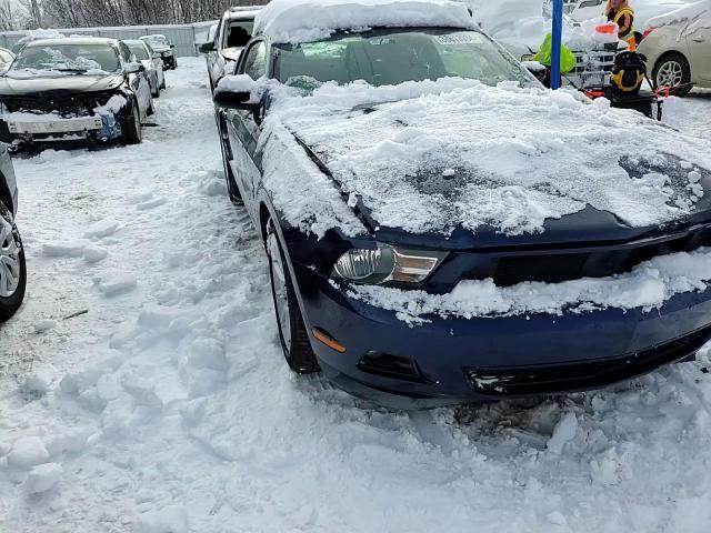 2011 Ford Mustang VIN: 1ZVBP8AM6B5168622 Lot: 38613034