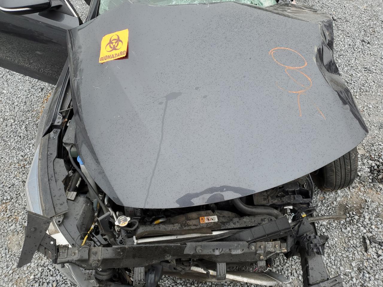 2019 Kia Optima Lx VIN: 5XXGT4L35KG305272 Lot: 39463854