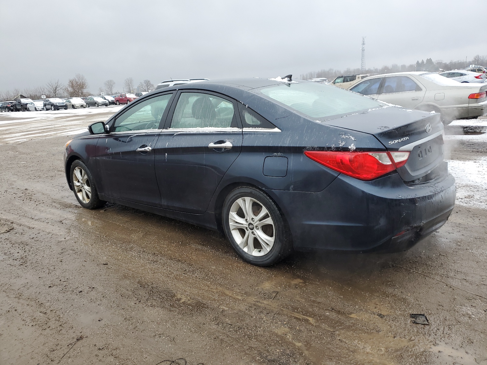 5NPEC4AC8DH651169 2013 Hyundai Sonata Se