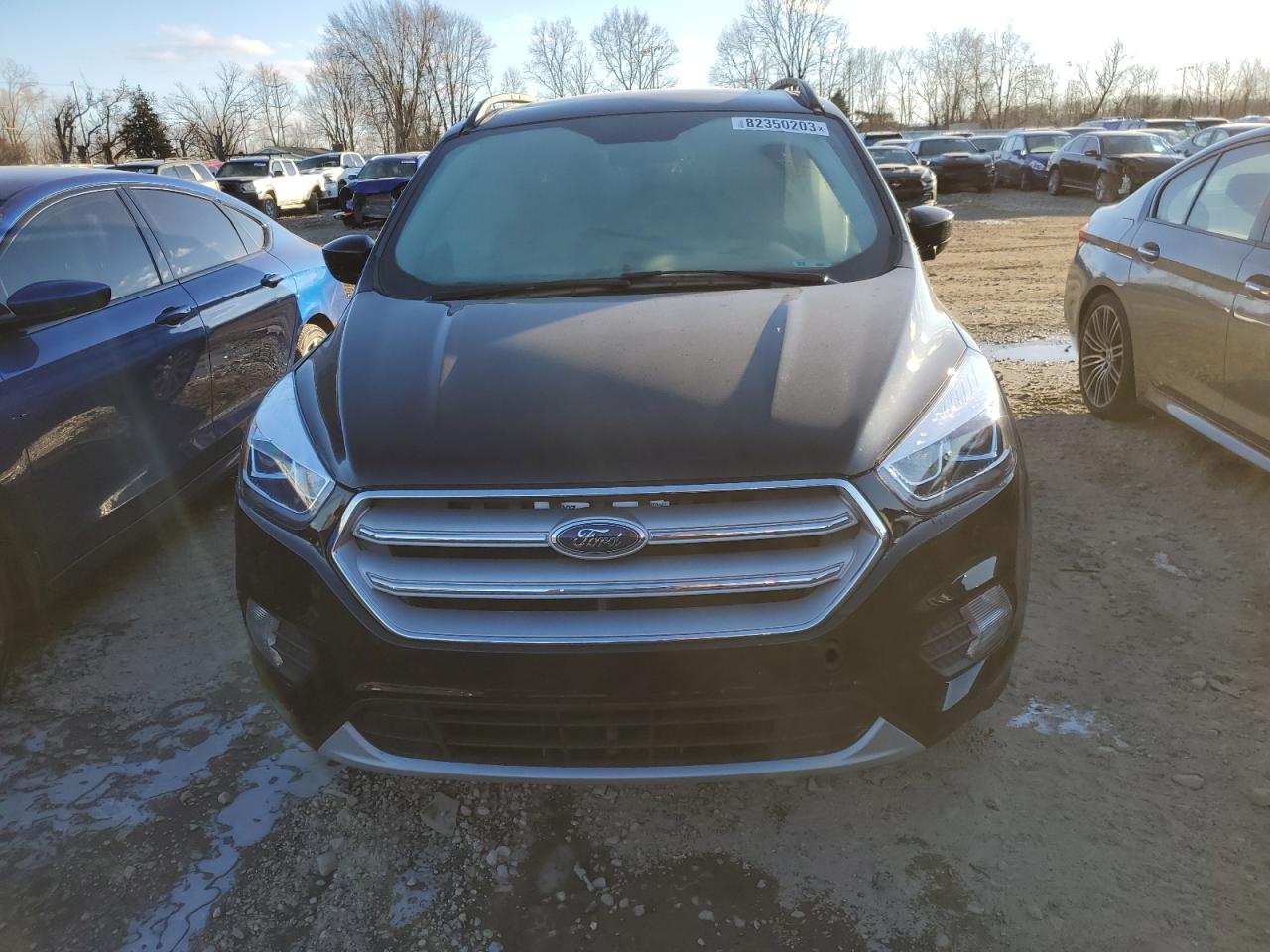 2019 Ford Escape Sel VIN: 1FMCU9HD4KUB77414 Lot: 82350203