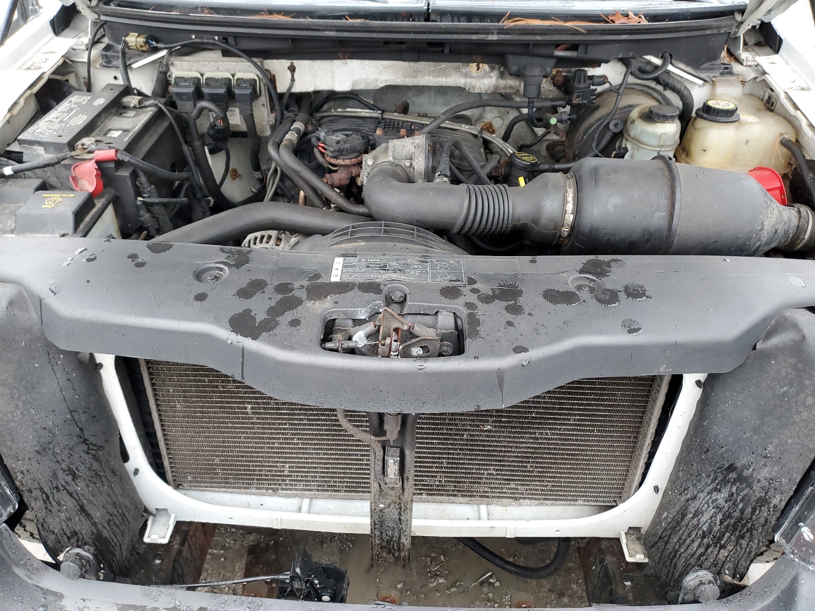 1FTRF12215NB81629 2005 Ford F150