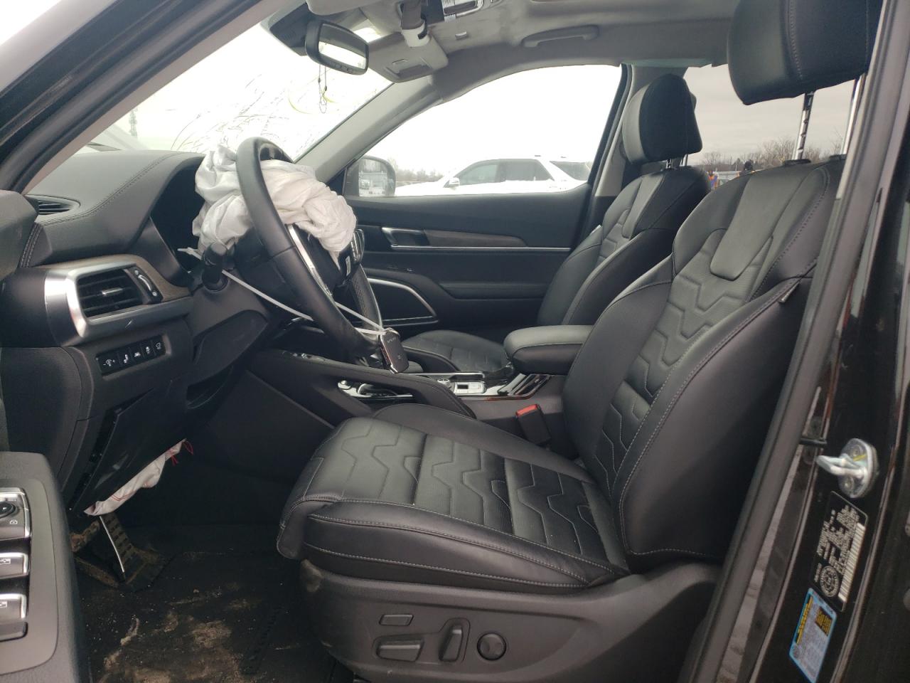 2022 Kia Telluride Sx VIN: 5XYP5DHC5NG298925 Lot: 82848063