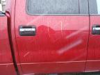 Bridgeton, MO에서 판매 중인 2014 Ford F150 Supercrew - Front End