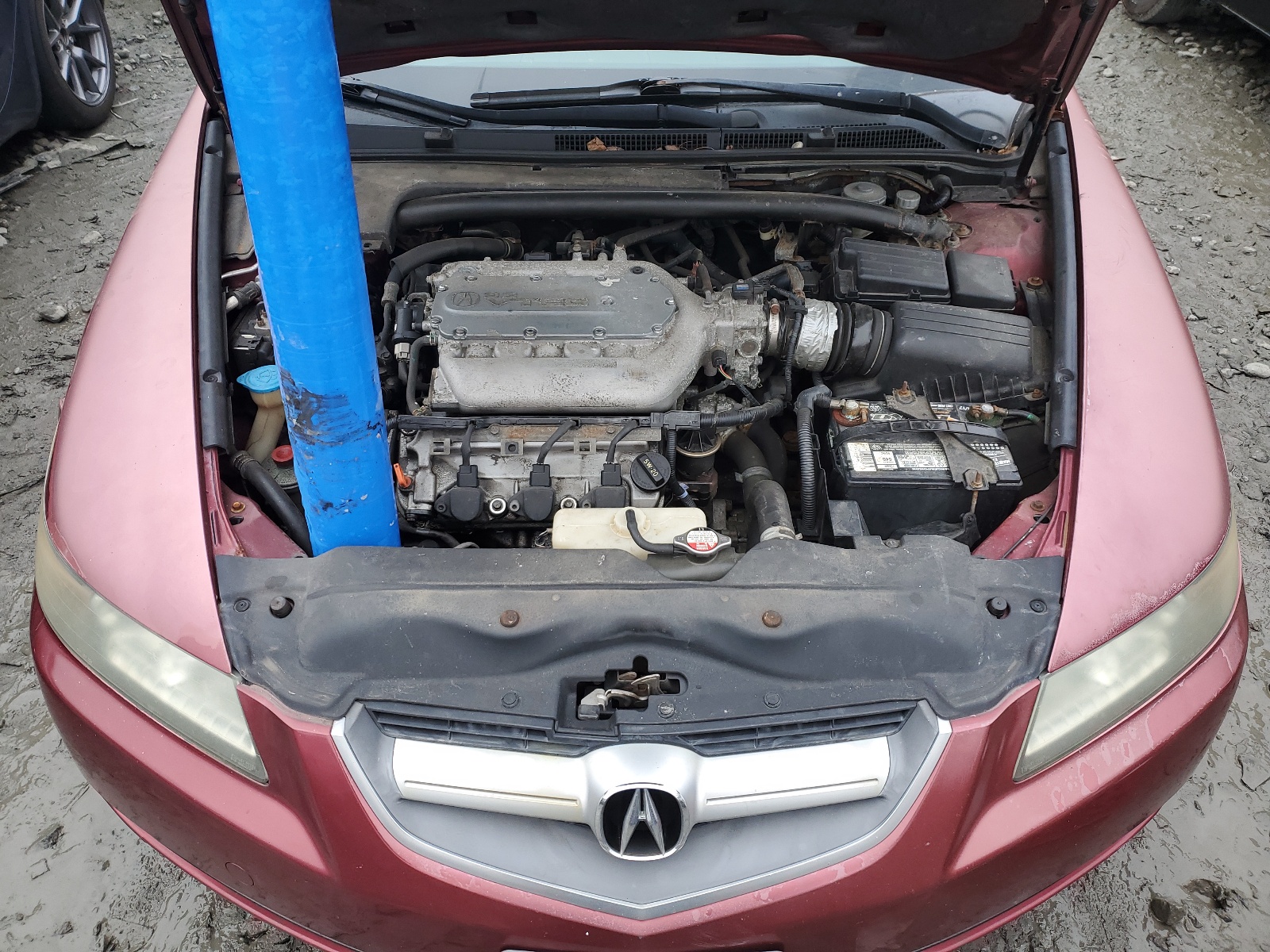 19UUA65594A012929 2004 Acura Tl