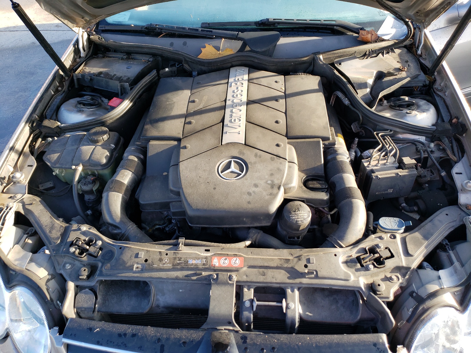 WDBTK75J95F145459 2005 Mercedes-Benz Clk 500