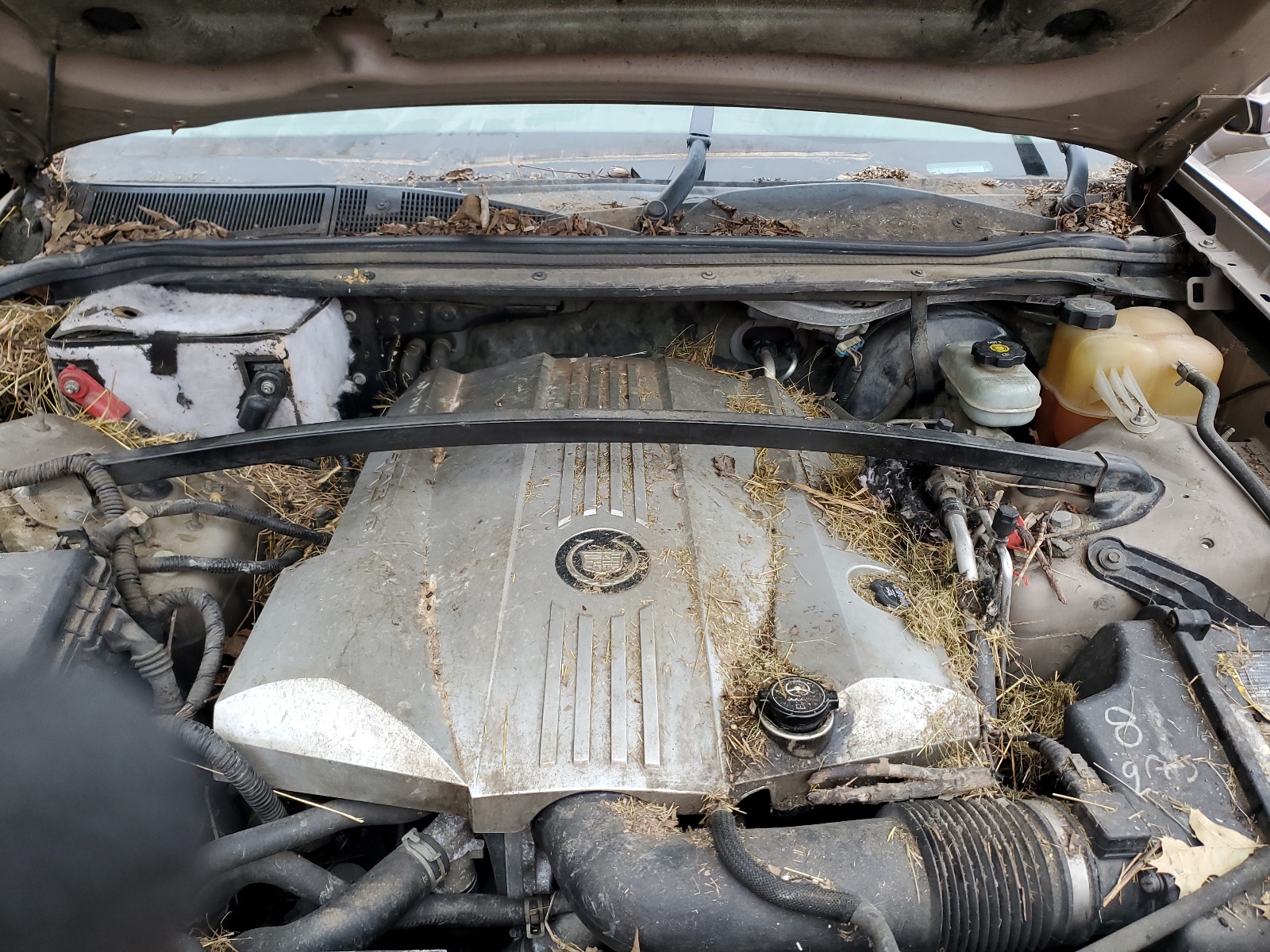 1GYEE63A760175881 2006 Cadillac Srx