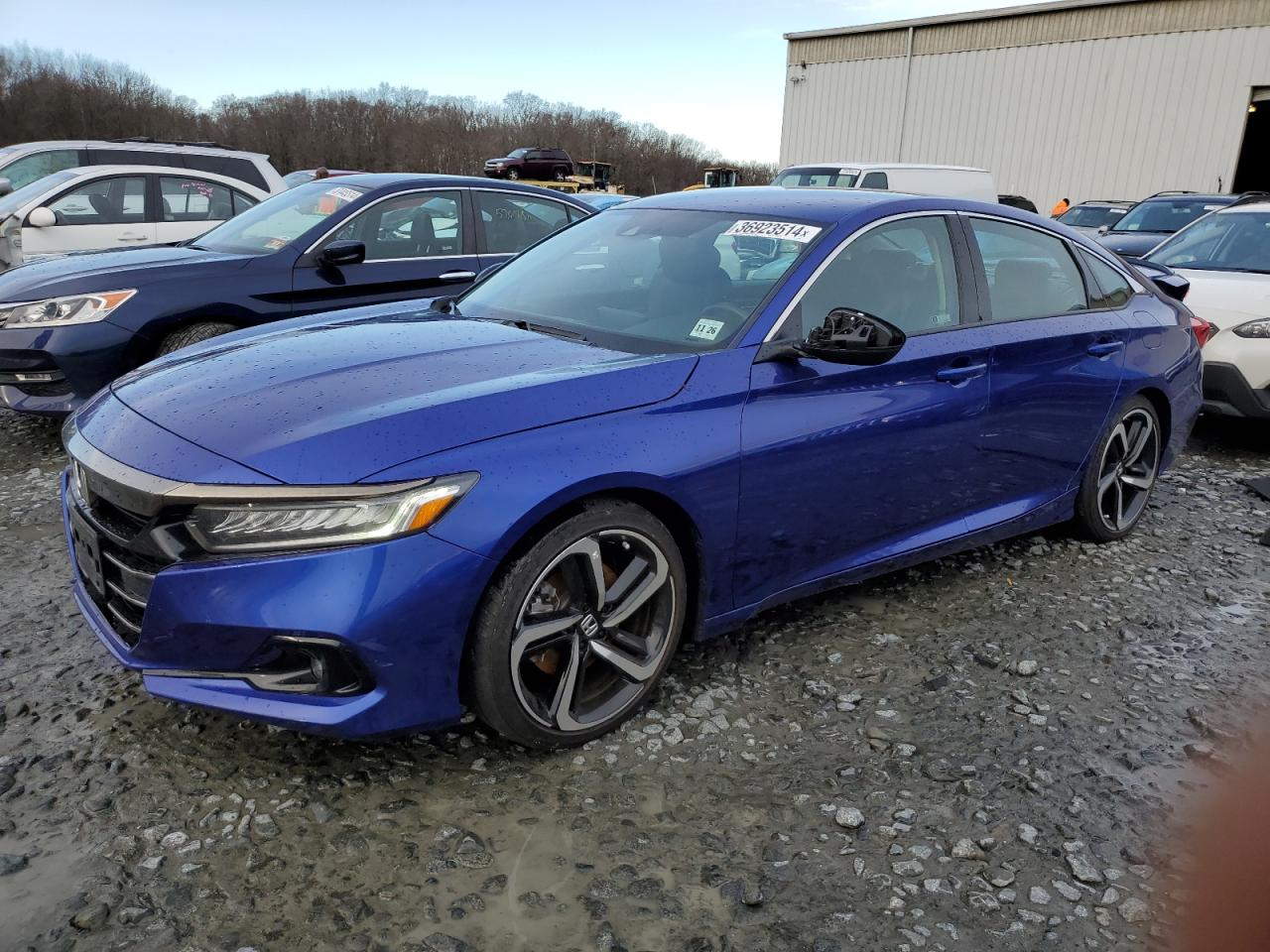 2021 Honda Accord Sport Se VIN: 1HGCV1F41MA115965 Lot: 36923514