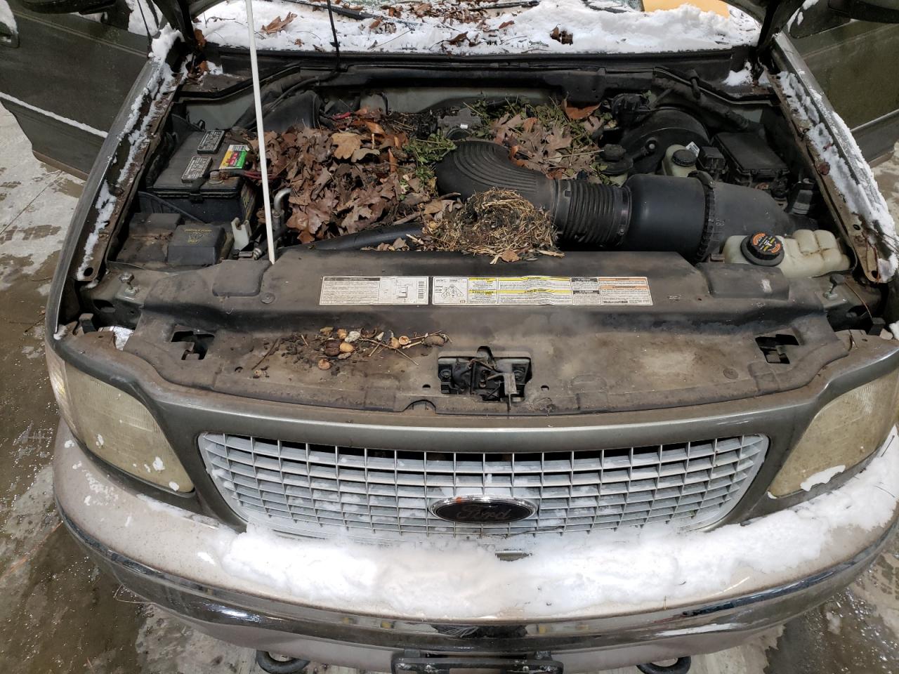 1999 Ford Expedition VIN: 1FMPU18LXXLA83156 Lot: 38388374