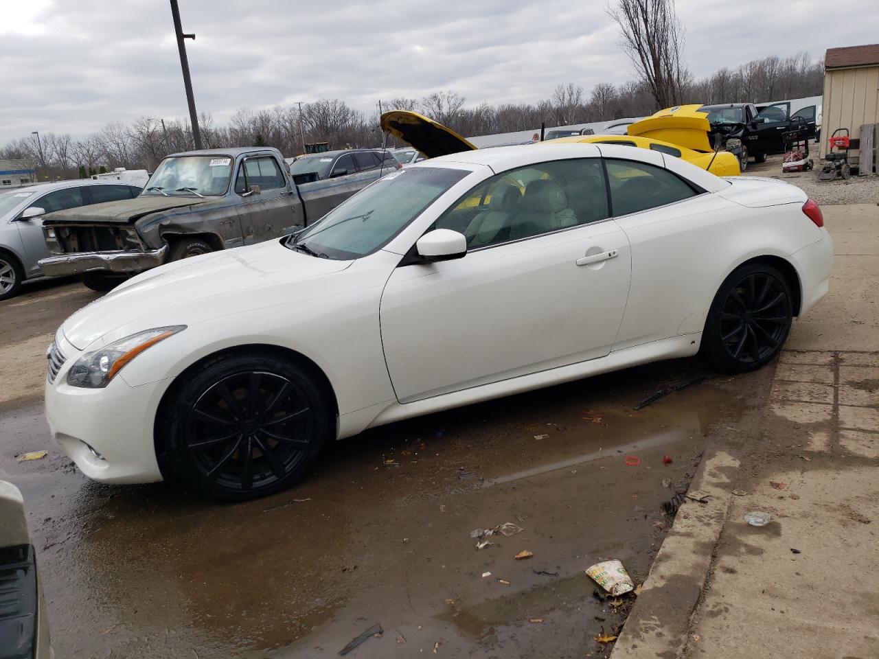 2015 Infiniti Q60 Base VIN: JN1CV6FE0FM810219 Lot: 81809933