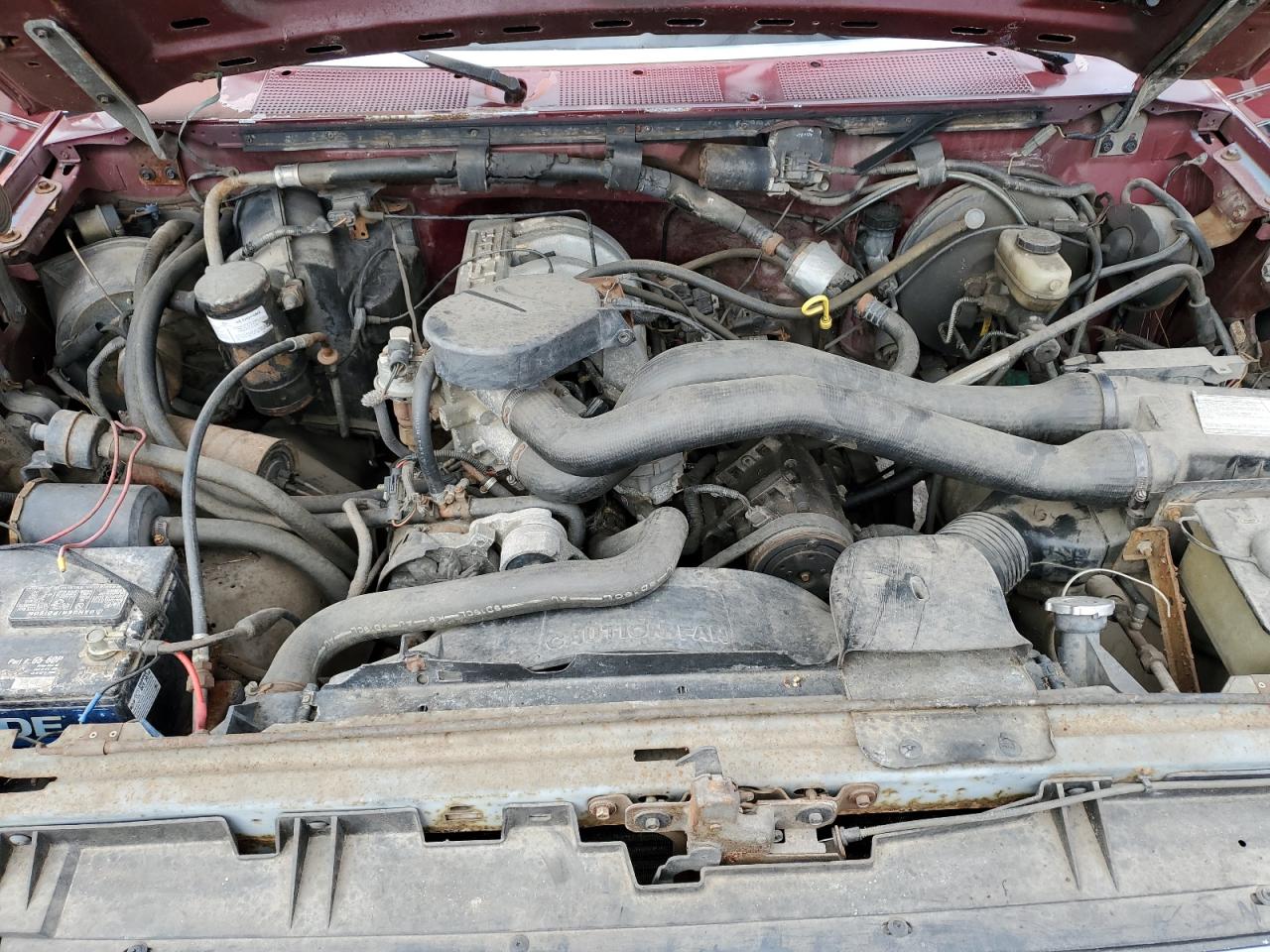 1989 Ford F150 VIN: 1FTEX14N1KKB41387 Lot: 81918793