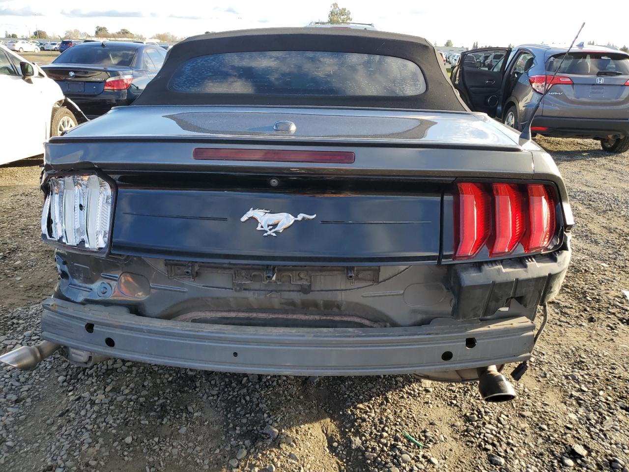 1FATP8UH5K5151824 2019 Ford Mustang