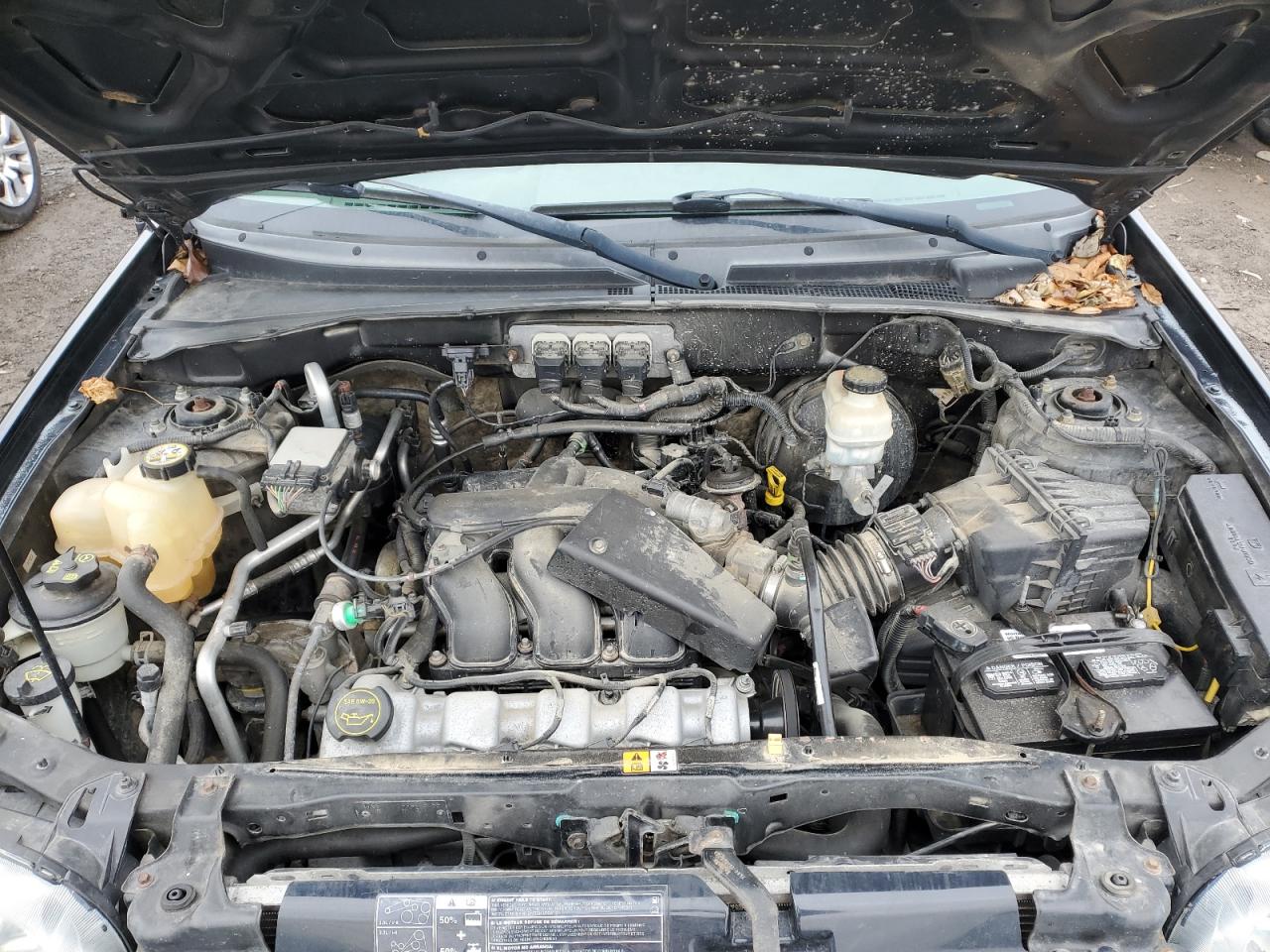 2005 Ford Escape Xlt VIN: 1FMYU93175KD53293 Lot: 82142443