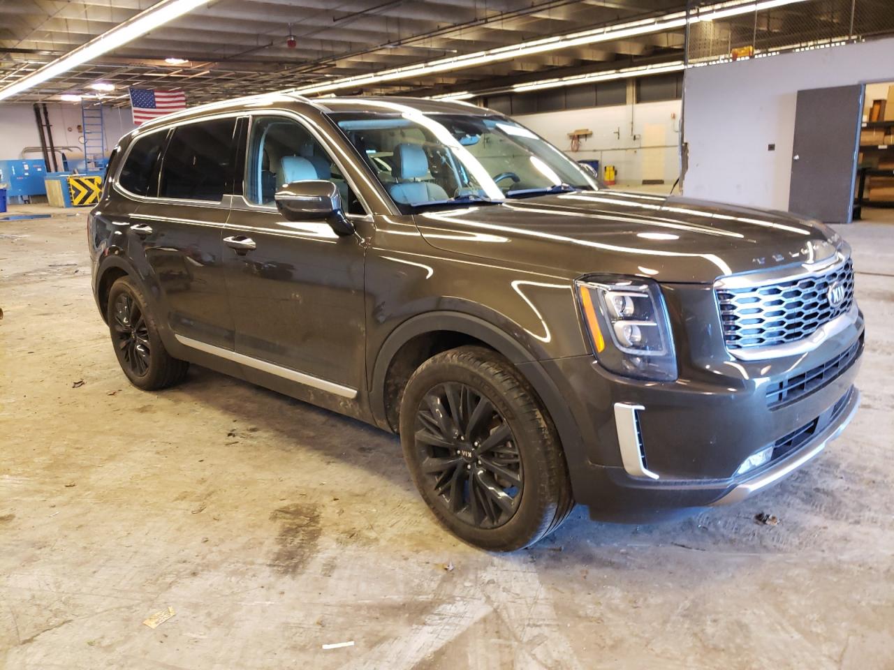 2020 Kia Telluride Sx VIN: 5XYP5DHC7LG015406 Lot: 40481324