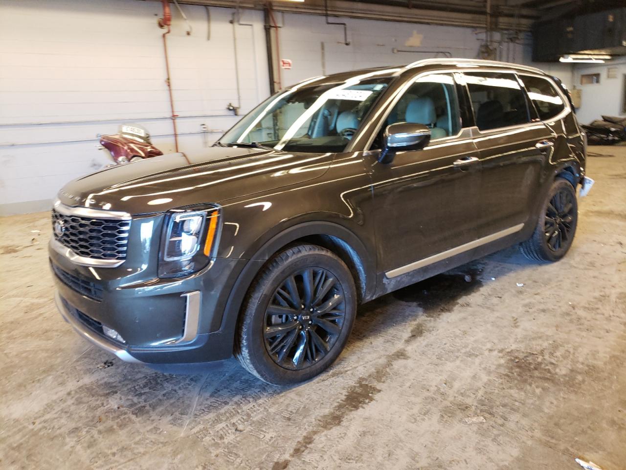 2020 Kia Telluride Sx VIN: 5XYP5DHC7LG015406 Lot: 40481324