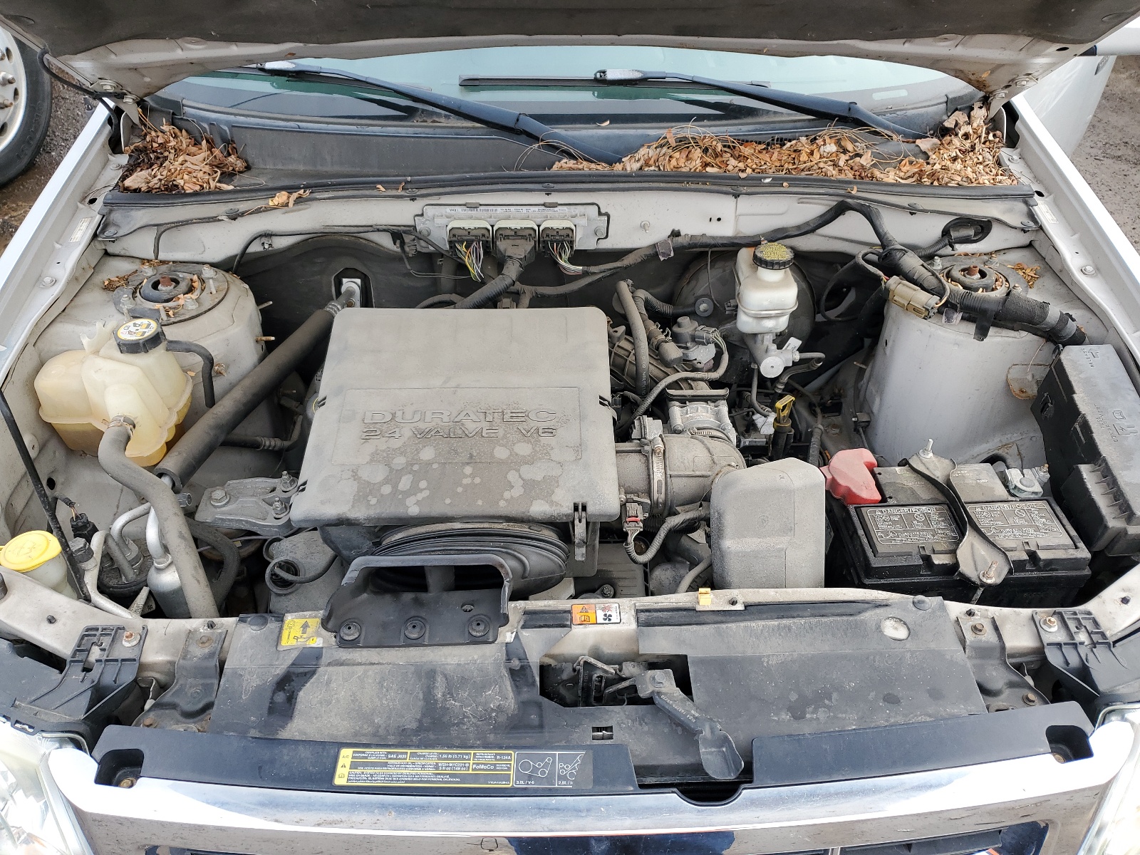 1FMCU04G19KC31365 2009 Ford Escape Limited