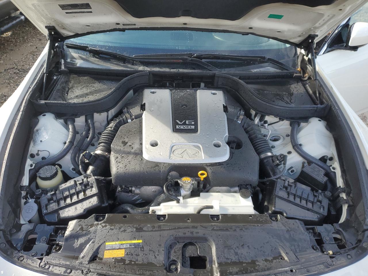 JNKCV61E19M013470 2009 Infiniti G37 Base