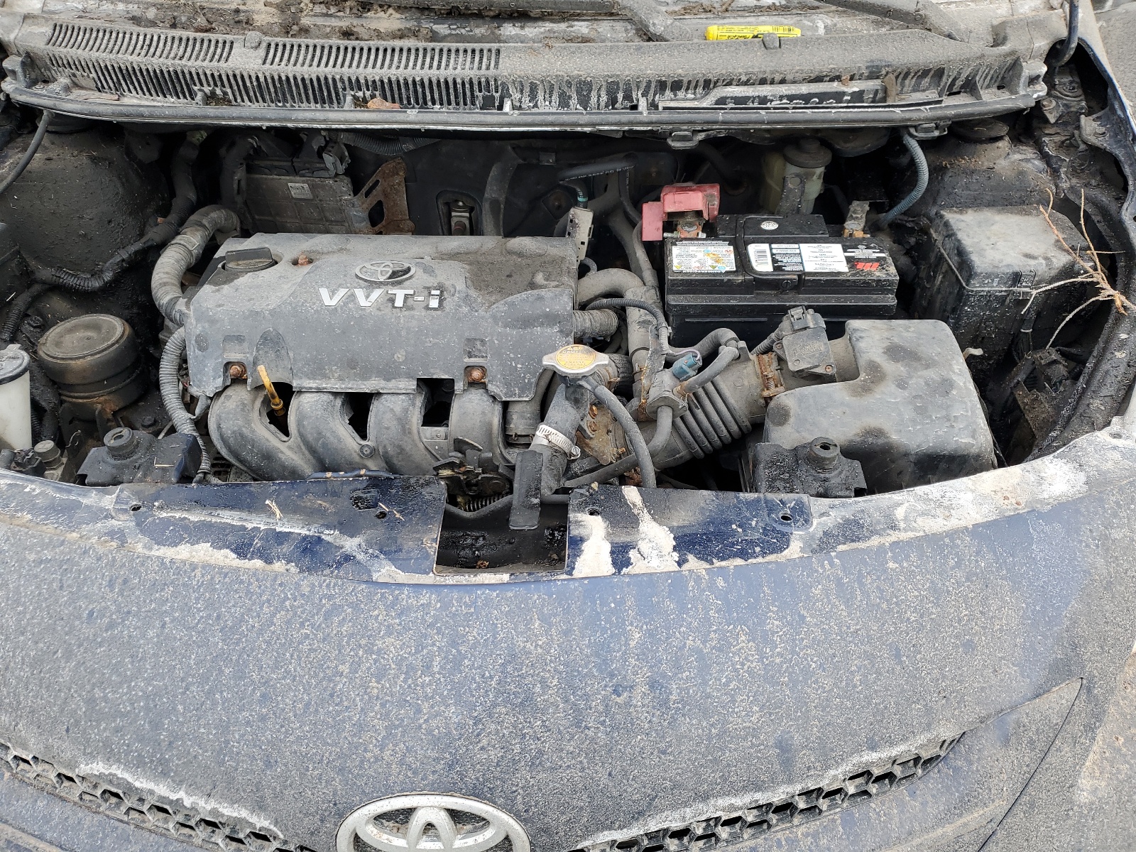 JTDBT923081216416 2008 Toyota Yaris