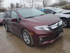 Bridgeton, MO에서 판매 중인 2020 Honda Odyssey Exl - Side