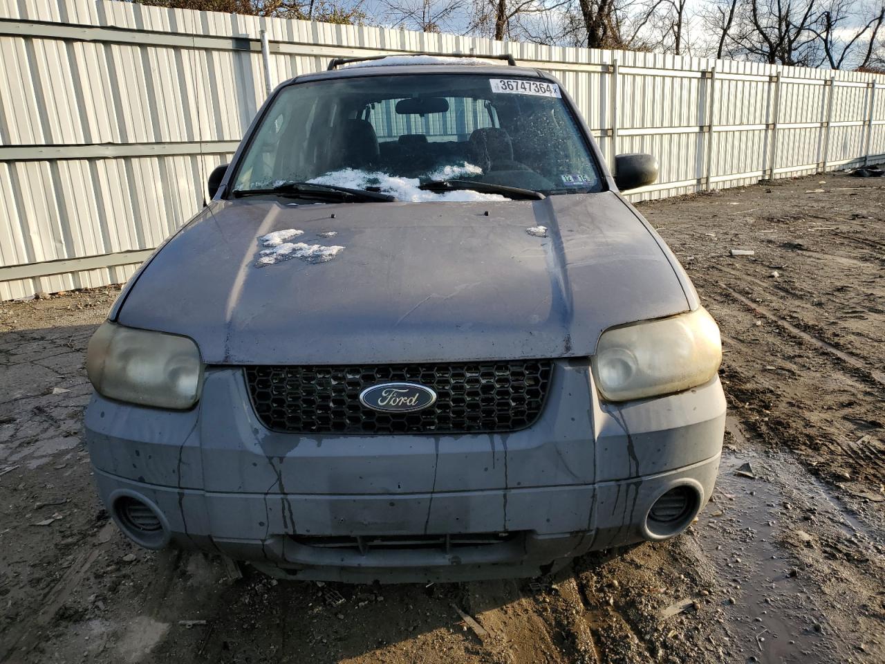 2007 Ford Escape Xls VIN: 1FMYU02Z47KB08019 Lot: 36747364