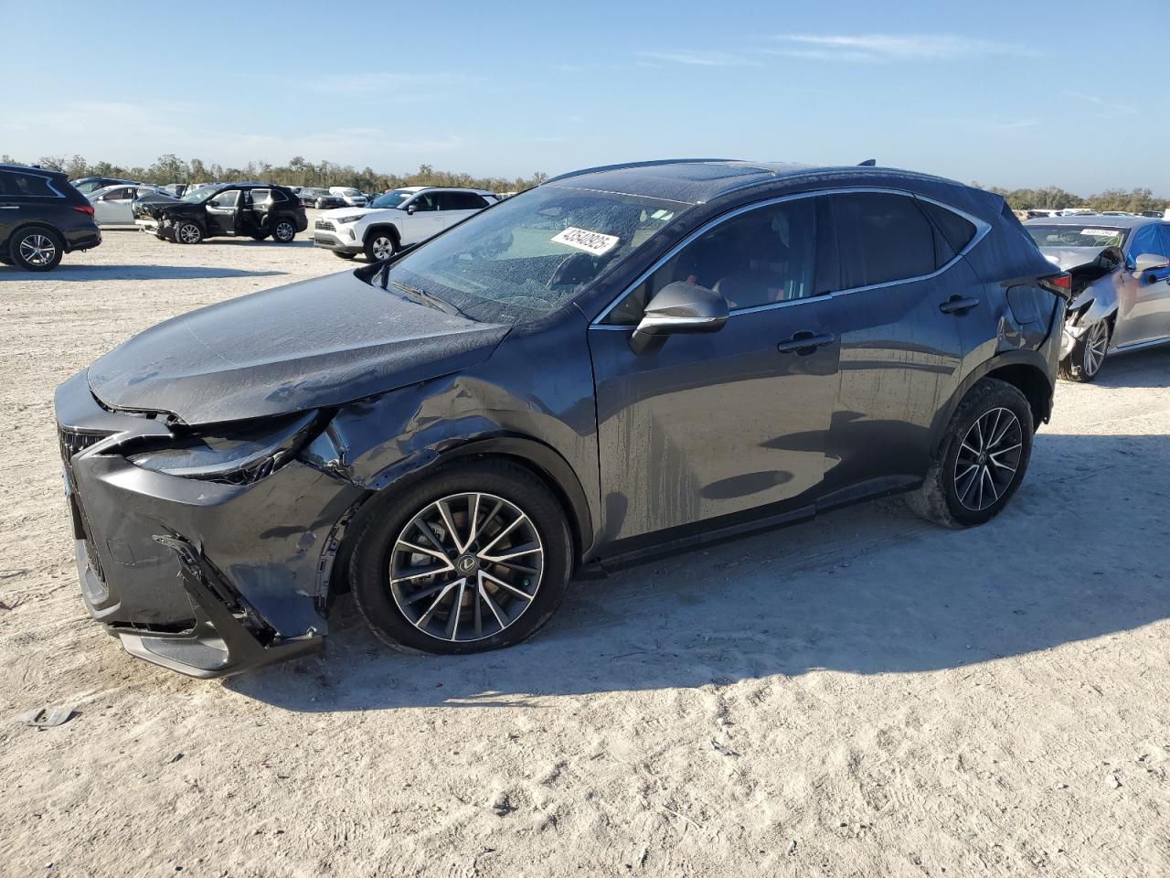 2023 Lexus NX - Image 1
