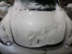 2020 Tesla Model 3  for Sale in Candia, NH - Side