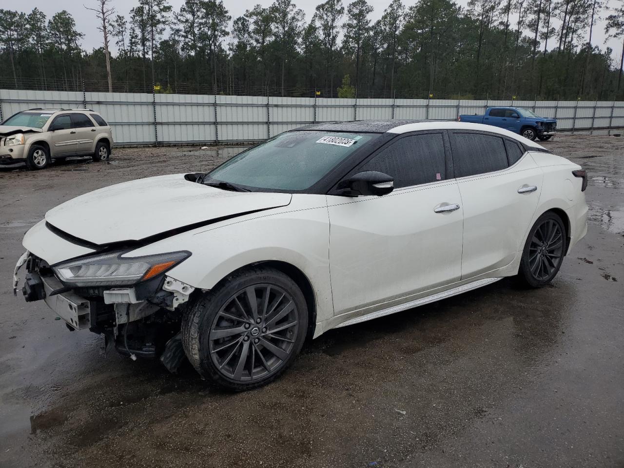 1N4AA6AV8KC384230 NISSAN MAXIMA 2019