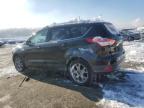 2014 Ford Escape Titanium for Sale in Louisville, KY - Minor Dent/Scratches