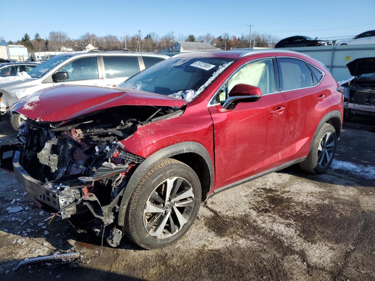 2020 Lexus NX - Image 1