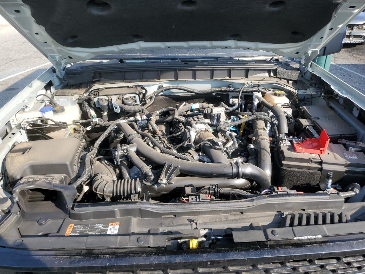 1FMEE2BP8RLA57115 FORD BRONCO WIL 2024