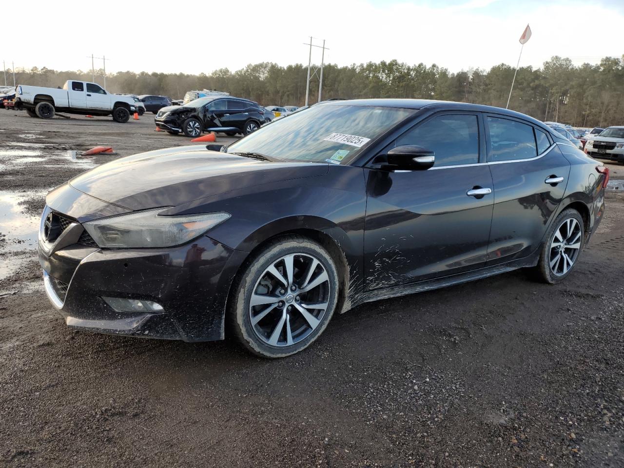 1N4AA6AP0GC394663 NISSAN MAXIMA 2016