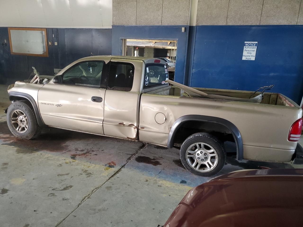 2002 Dodge Dakota - Image 2