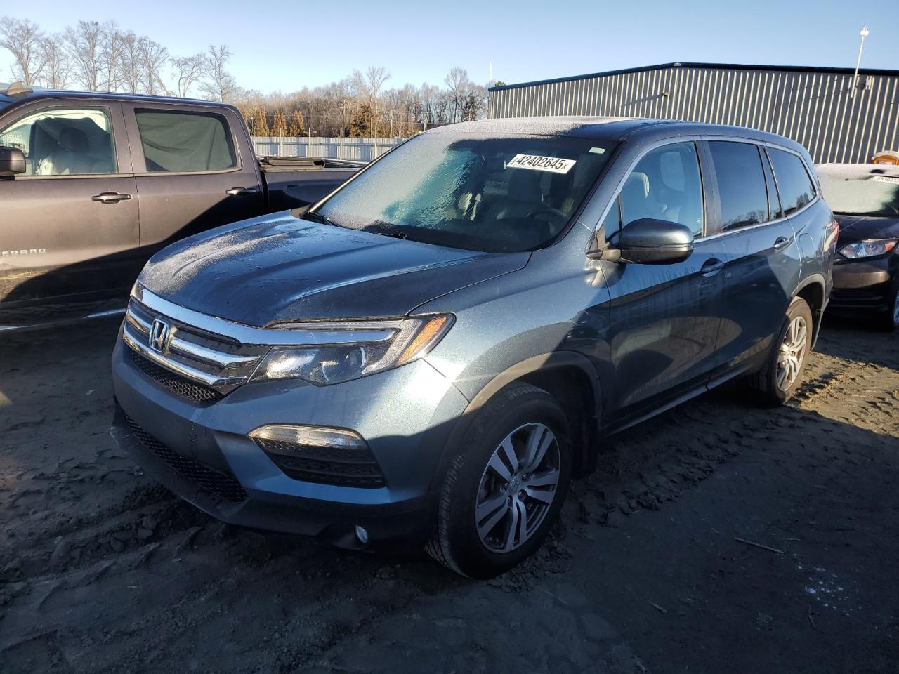 5FNYF6H71GB101159 HONDA PILOT 2016
